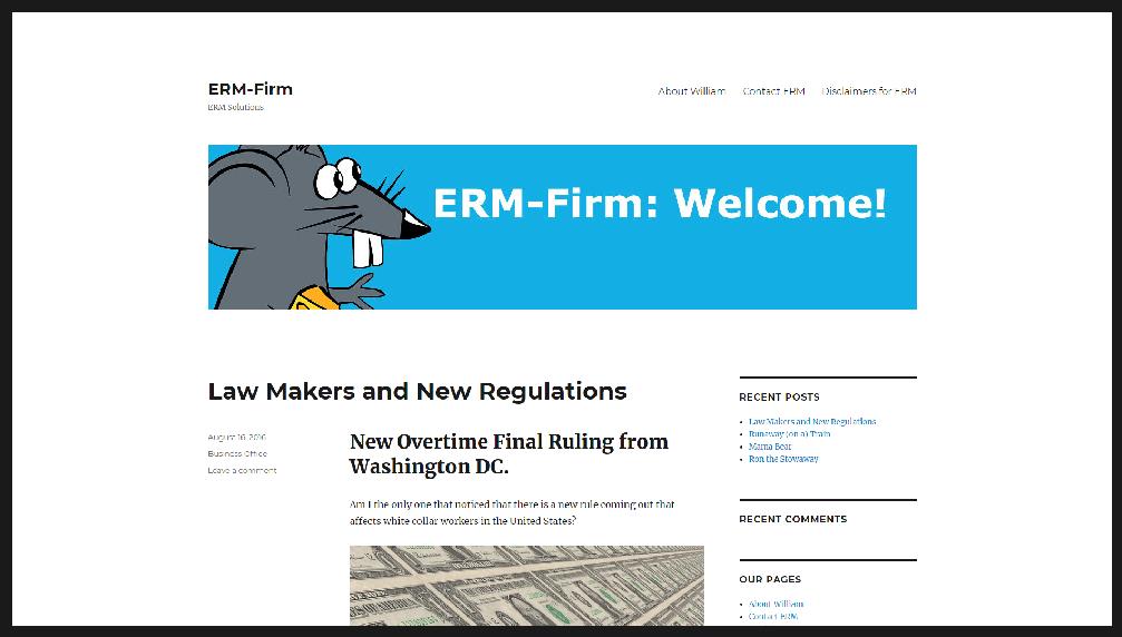 erm-firm.com